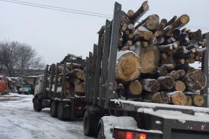 ЗАПАС ДРОВ ДОСТАТНІЙ