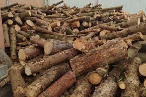 АЛЬТЕРНАТИВНІ ВИДИ ПАЛИВА